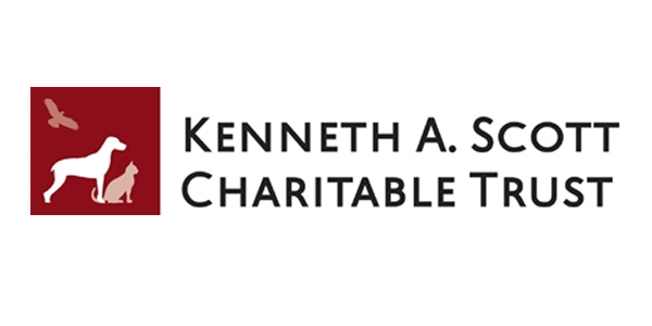 logo-kenneth-scott